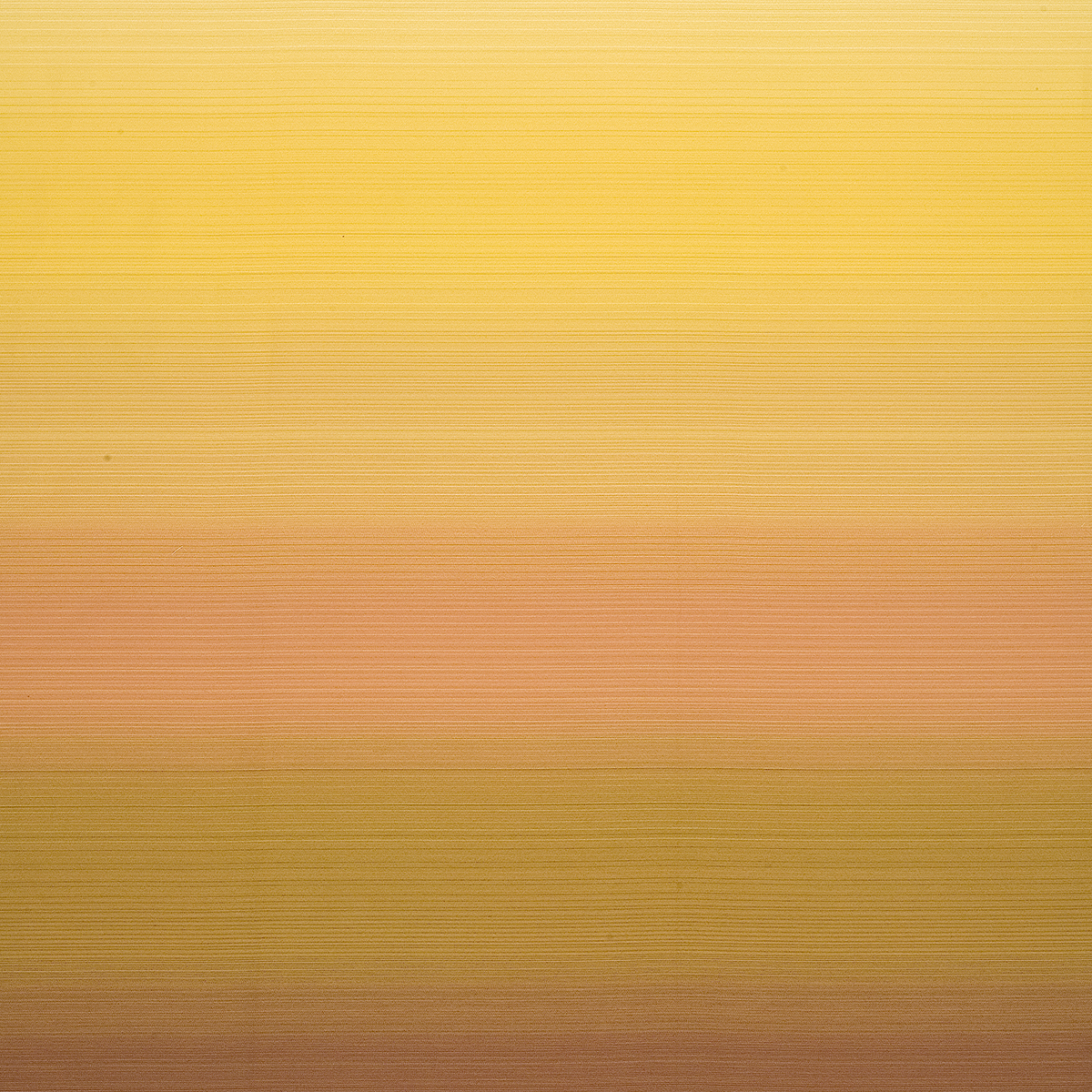 Rising Sun